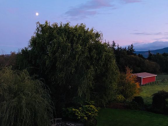 Fire pit