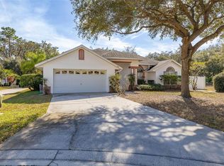 248 Breezy Oaks Ct, Davenport, FL 33896