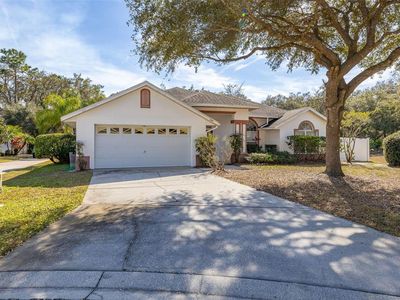 248 Breezy Oaks Ct, Davenport, FL, 33896