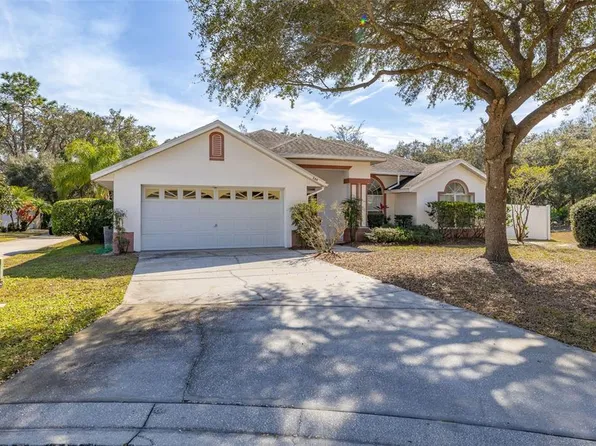 248 Breezy Oaks Ct, Davenport, FL 33896