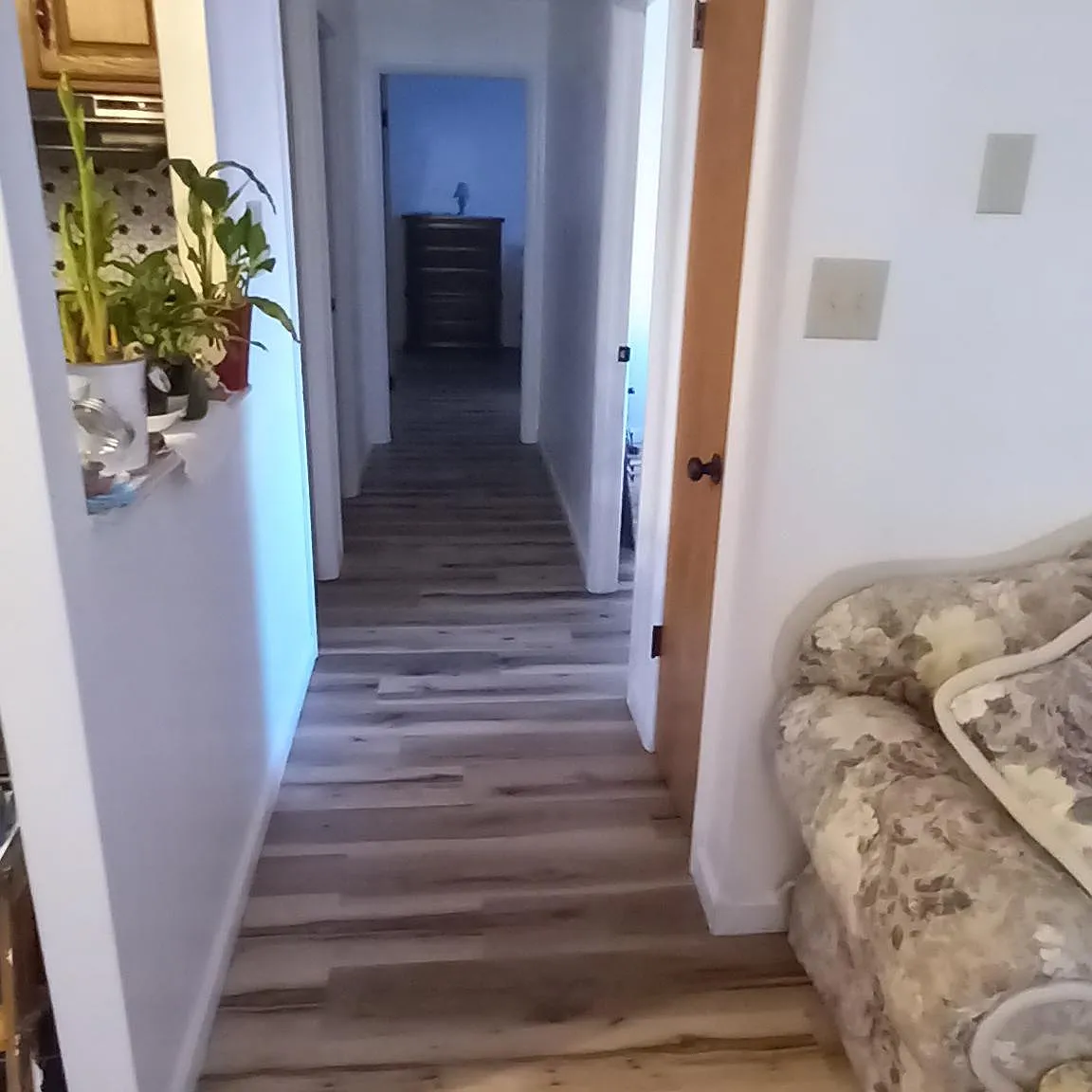 2 bed, 900 sqft, $1,500 — Photo 4