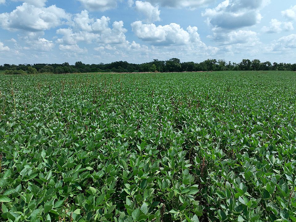 1st image of 235th Trl