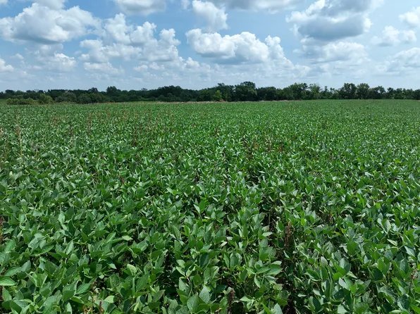235th Trl, Chariton, IA 50049