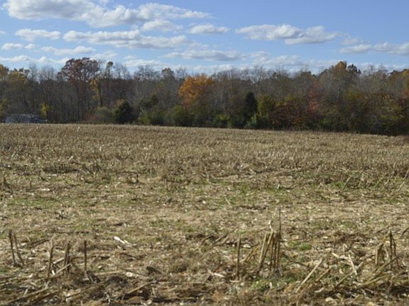 5th image of 0 Old Manchester Hwy