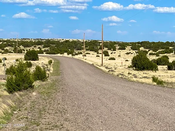 45 County Road 8643, Concho, AZ 85924
