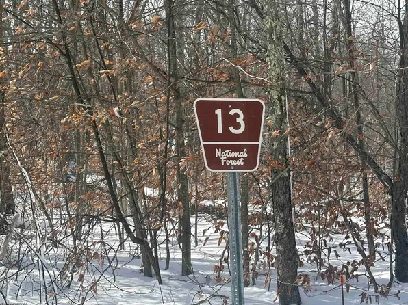 0 Canaan Overlook Rd, Davis, WV 26260