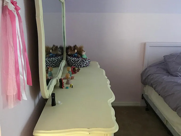 8518 Broken Willow Ct — Photo 21