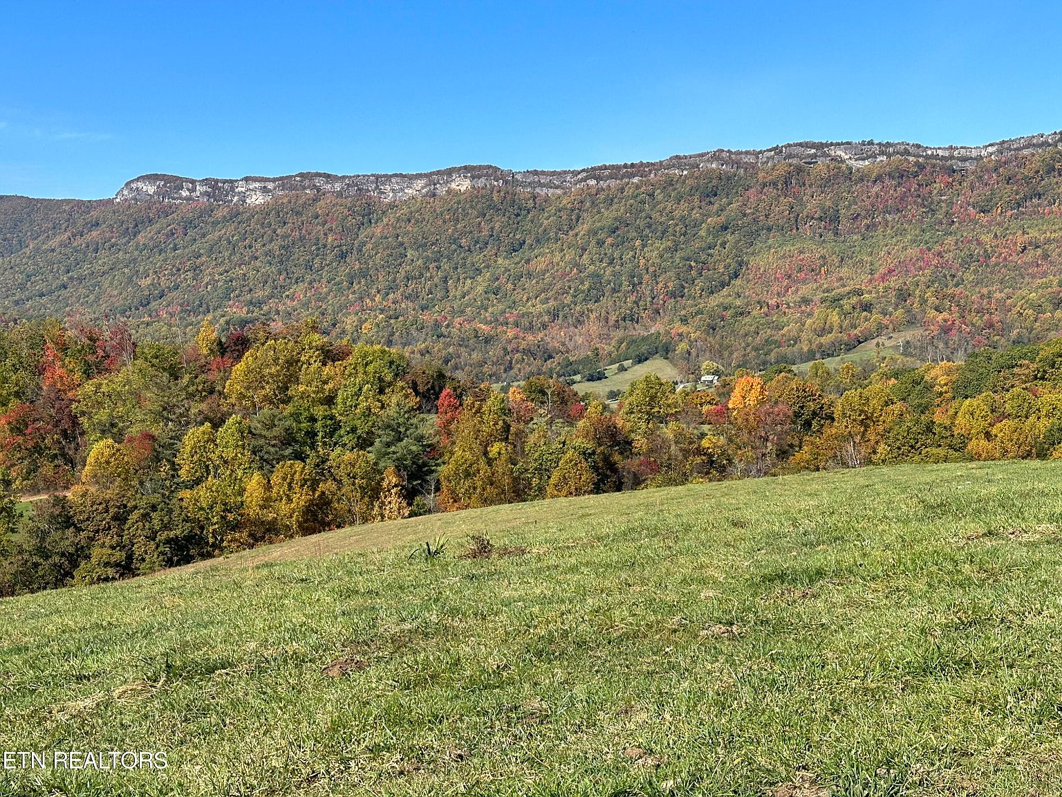 Giles Hollow Rd, Rose Hill, VA 24281 MLS 1243783 Zillow