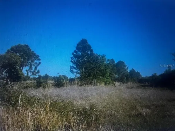733 N Tarry Ln Lot 20, Lorida, FL 33857