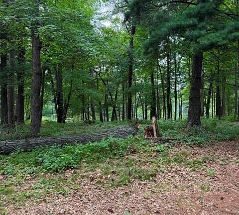 4th image of Lot 4 9 3/4 Avenue