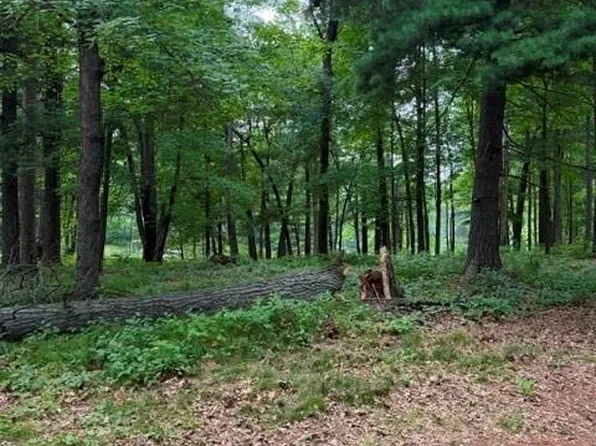 Lot 3 9 3/4 Avenue, Chetek, WI 54728