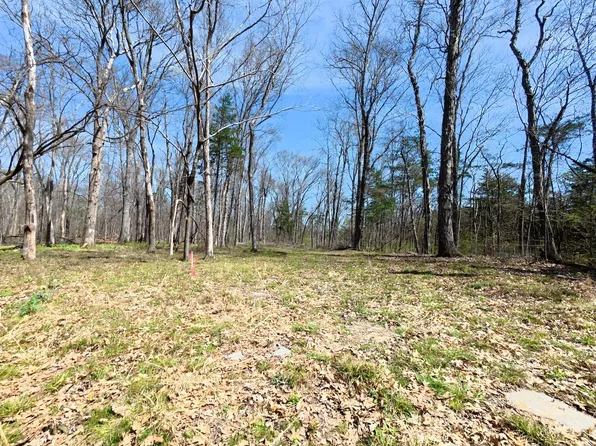 9346 Christiana Fosterville Rd Lot 3, Christiana, TN 37037