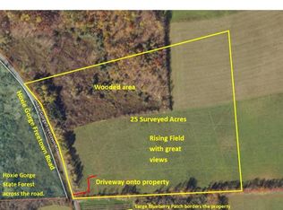 Hoxie Gorge Rd #8, Marathon, NY 13803