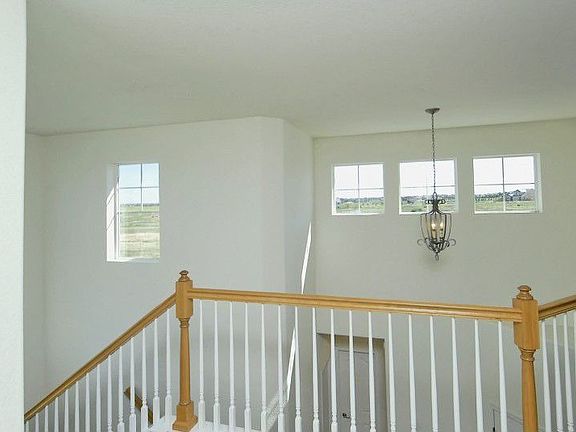 Windows and more Windows bring in Natural Light