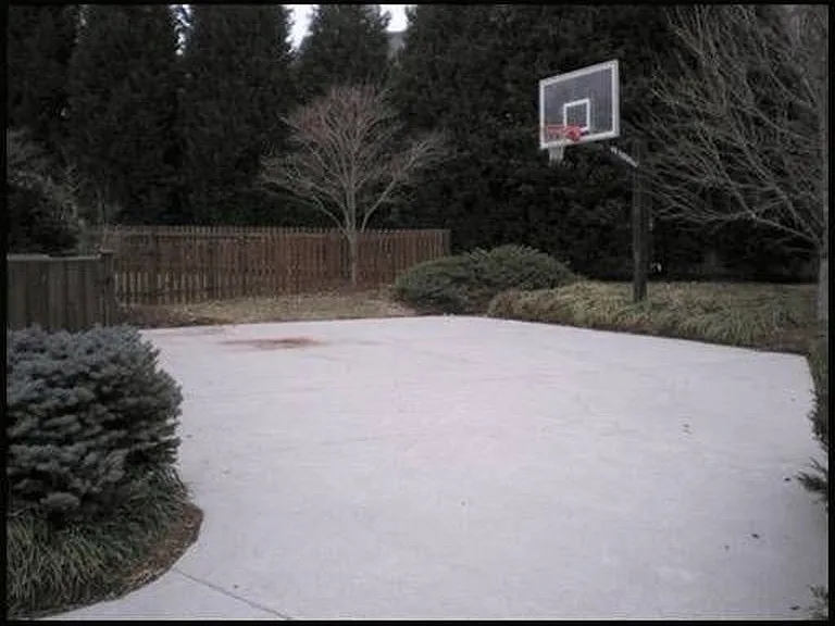 Small fence was replaced with a 8ft one
