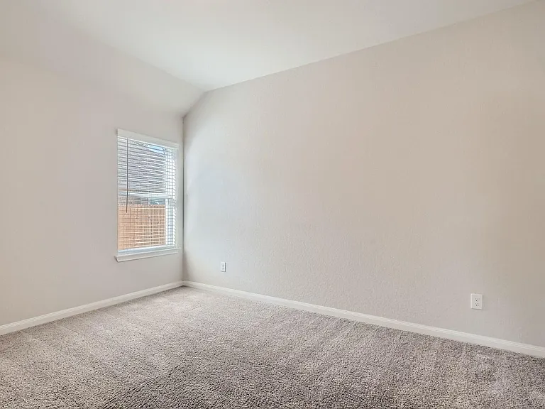 5442 Black Walnut — Photo 26