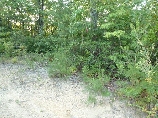 4th image of Black House Mountain Rd