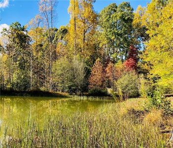 4 Long Mountain Trl LOT 4, Cleveland, GA, 30528