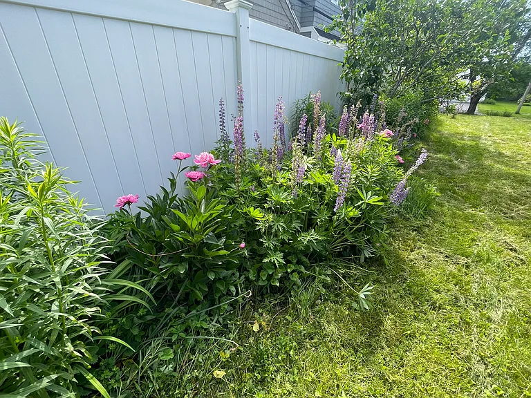 54 Bartley Ave — Photo 25