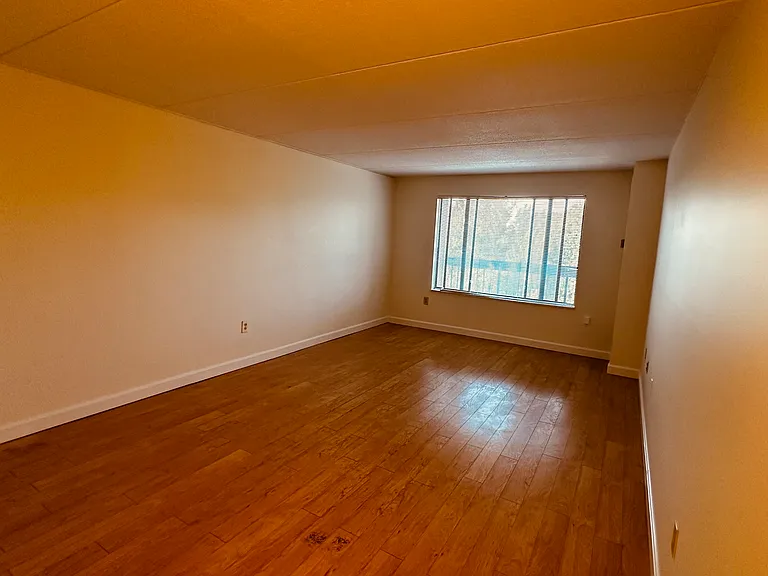 1550 Worcester Rd #526 — Photo 43
