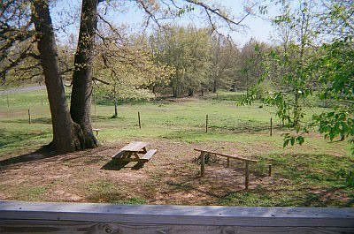 View From Back Deck of Home