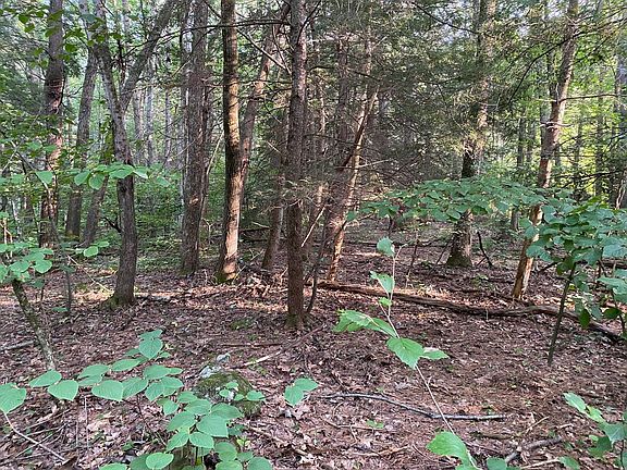2nd image of LOT Brimfield Rd #B