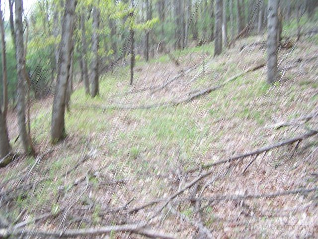 2nd image of Tbd Phillips Gap Road