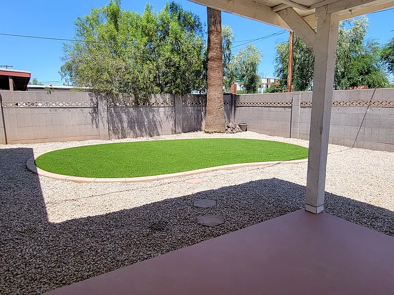 Backyard photo 1