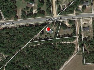 973 Bush Berry Rd, Pelion, SC 29123