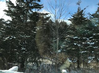 12440 Pioneer Rd, Osseo, MI 49266