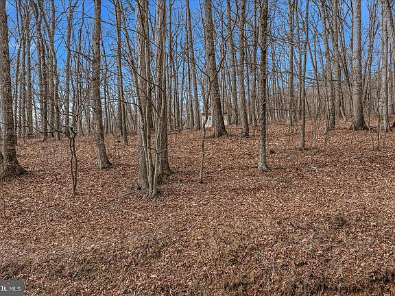 4th image of LOT 6 Pauls Woods Rd