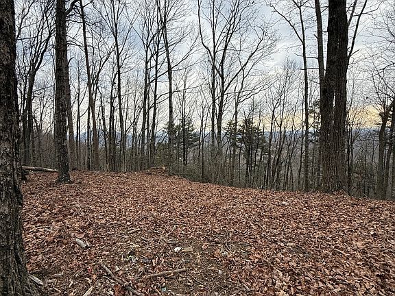 5th image of 7 Westmoreland Rd