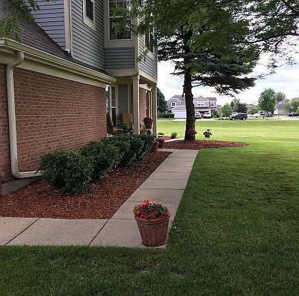 3rd image of 46 Ione Dr Unit D