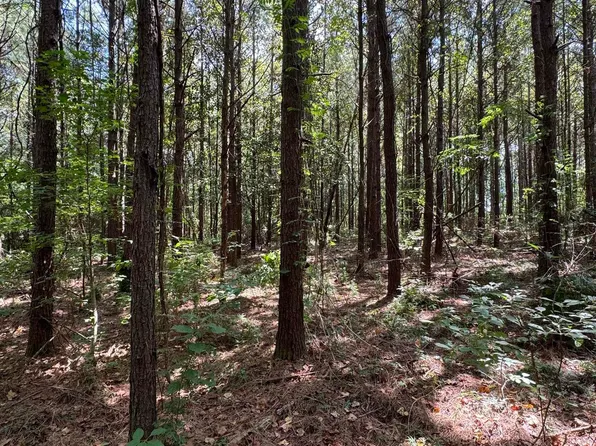 7826 Pipes Ln, Ethel, LA 70730