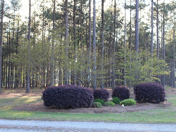 Lighted, landscaped entranc4