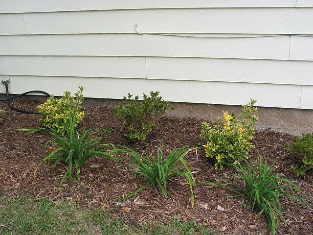 2nd image of 9437 Kathlyn Dr