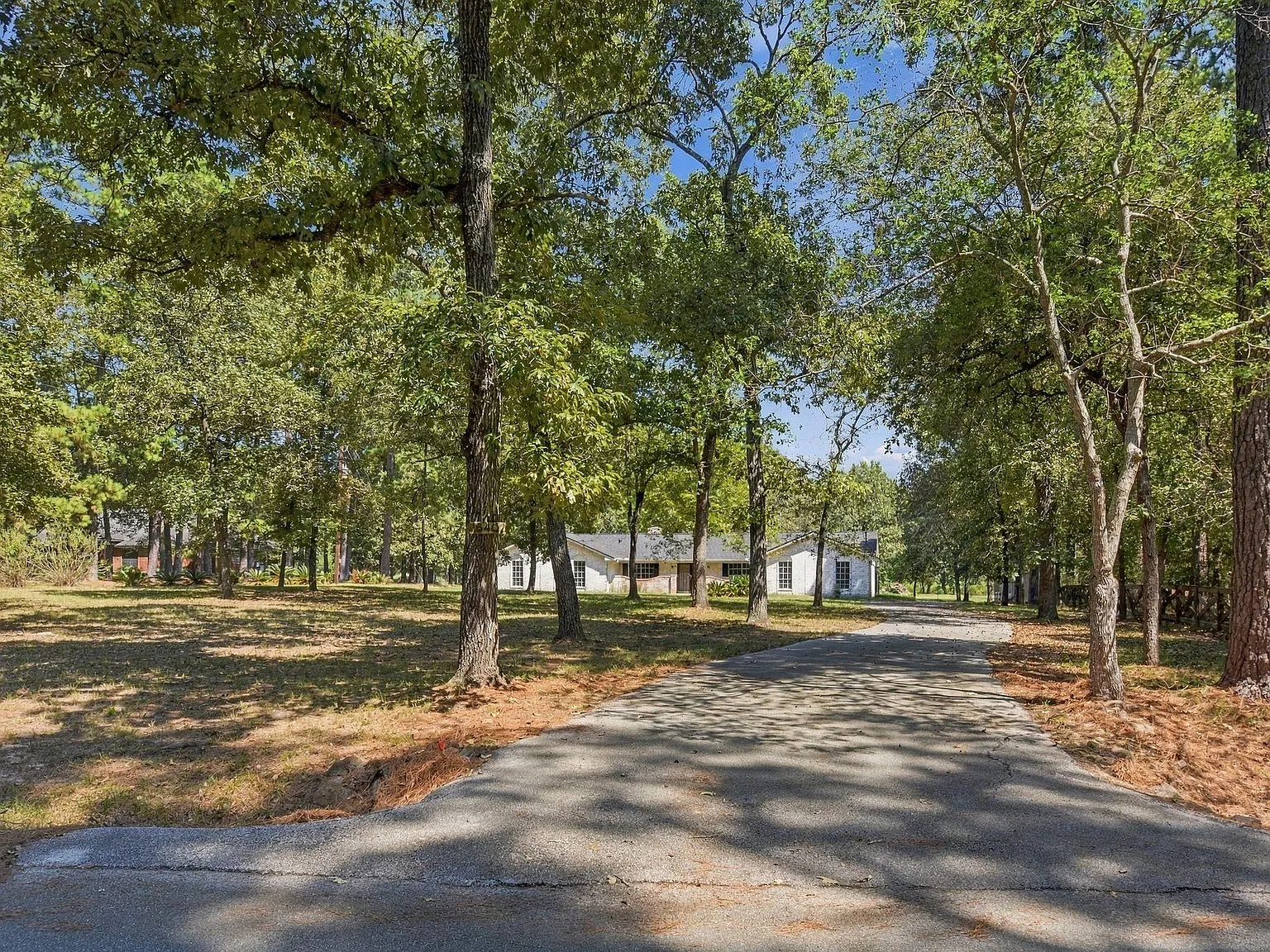 4 bed, 2.5 bath, 2078 sqft, $3,000 — Photo 4
