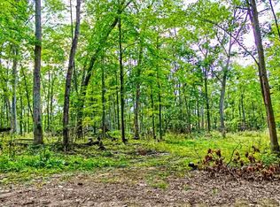 8696 Maple Dale Rd, Horton, MI 49246