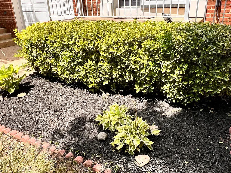 4100 Flower Box Ct — Photo 38