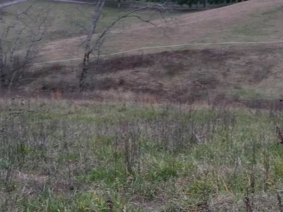 4th image of 250 Ellison Ln