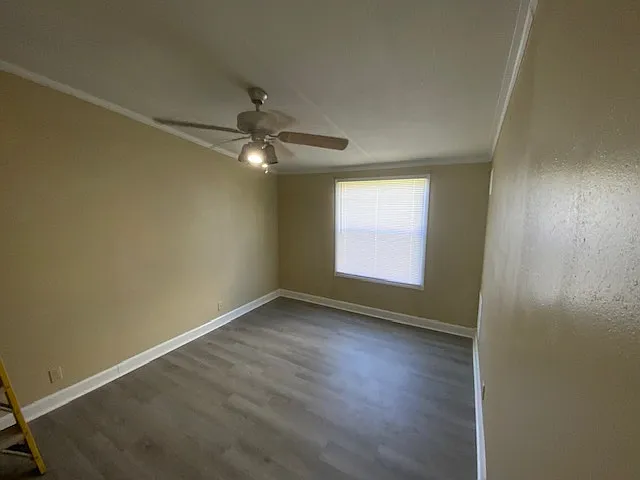 2221 Nina St — Photo 8