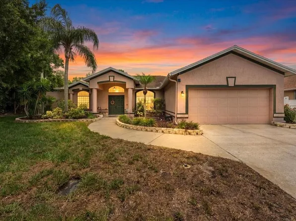 22804 Willow Lakes Dr, Lutz, FL 33549