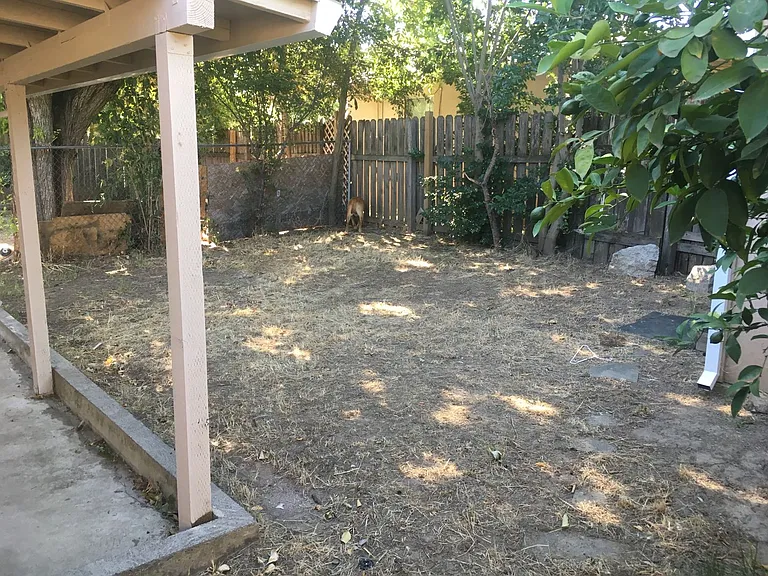 406 Niles Ave — Photo 21