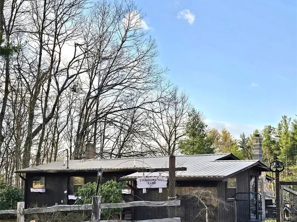 207 Strawberry Hill Ln, Burnsville, NC 28714