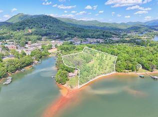 314 Lakeside Dr, Hiawassee, GA 30546