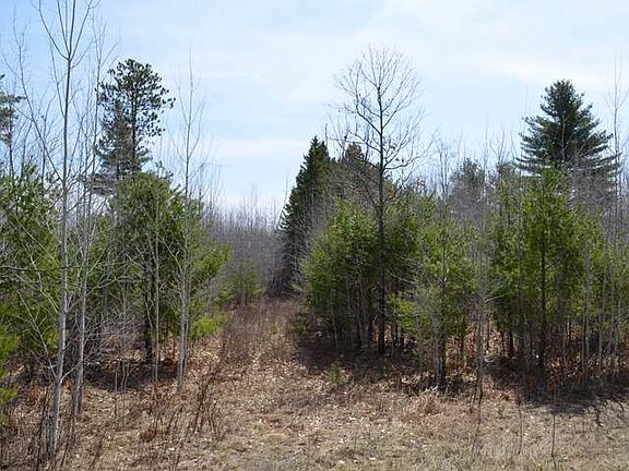 2nd image of On Loop Rd