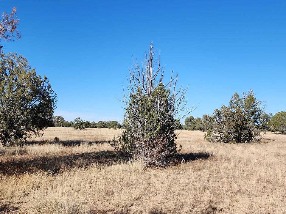2nd image of 2775 S Canyon Vista Rd