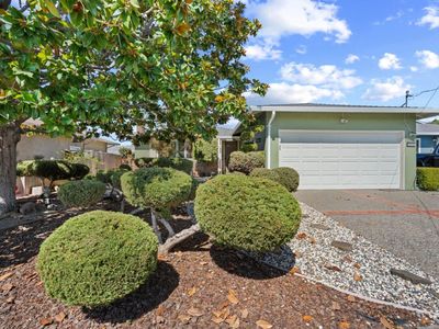 542 Caleb Pl, Hayward, CA, 94544
