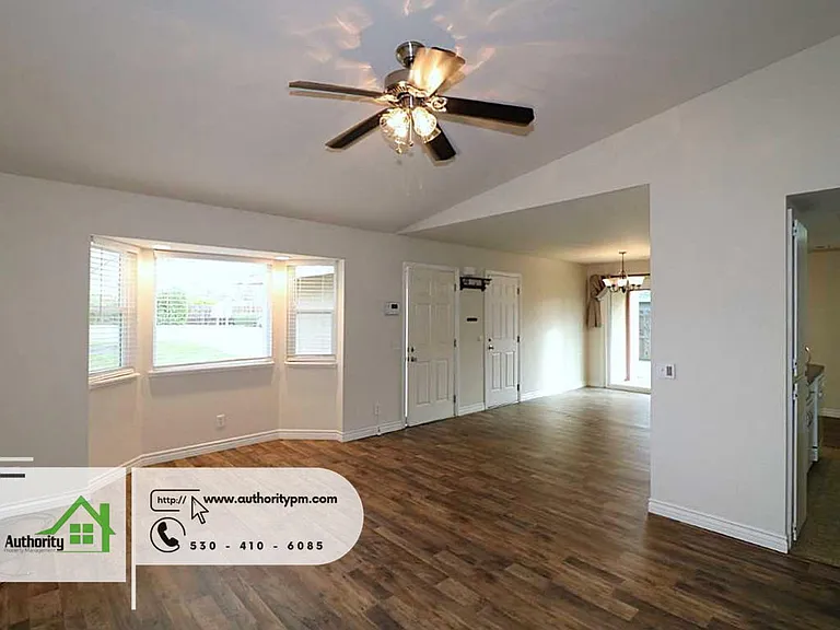 808 Springer Dr — Photo 6