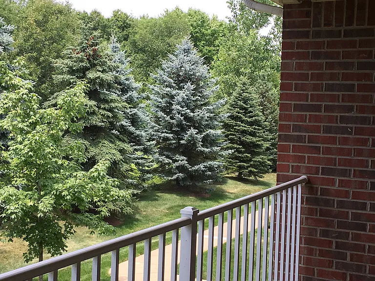 20209 Chesapeake Cir — Photo 31